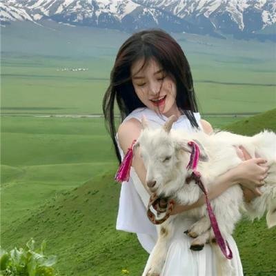 奇怪的猫咪 封面