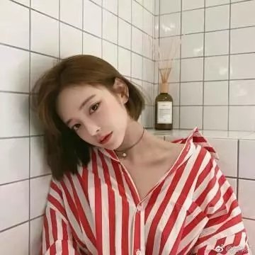 白桦林中的哨所 封面